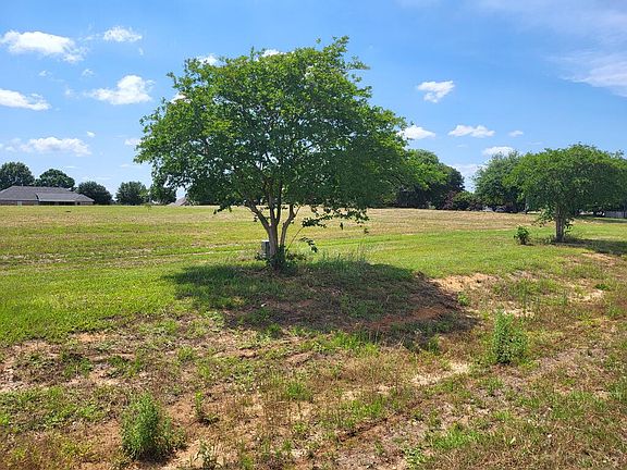 3rd image of LOT 10 County Road 49
