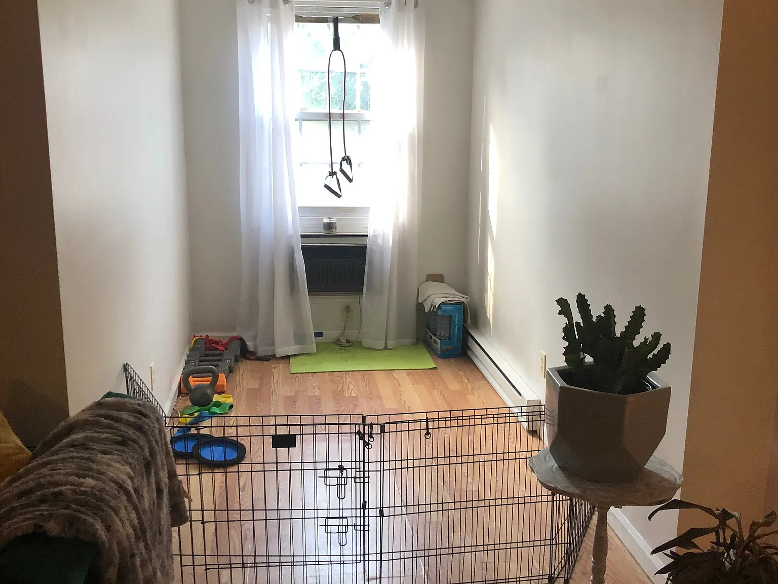 1 bed, 575 sqft, $1,700 — Photo 3