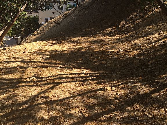 5th image of 3900 Pacheco Dr