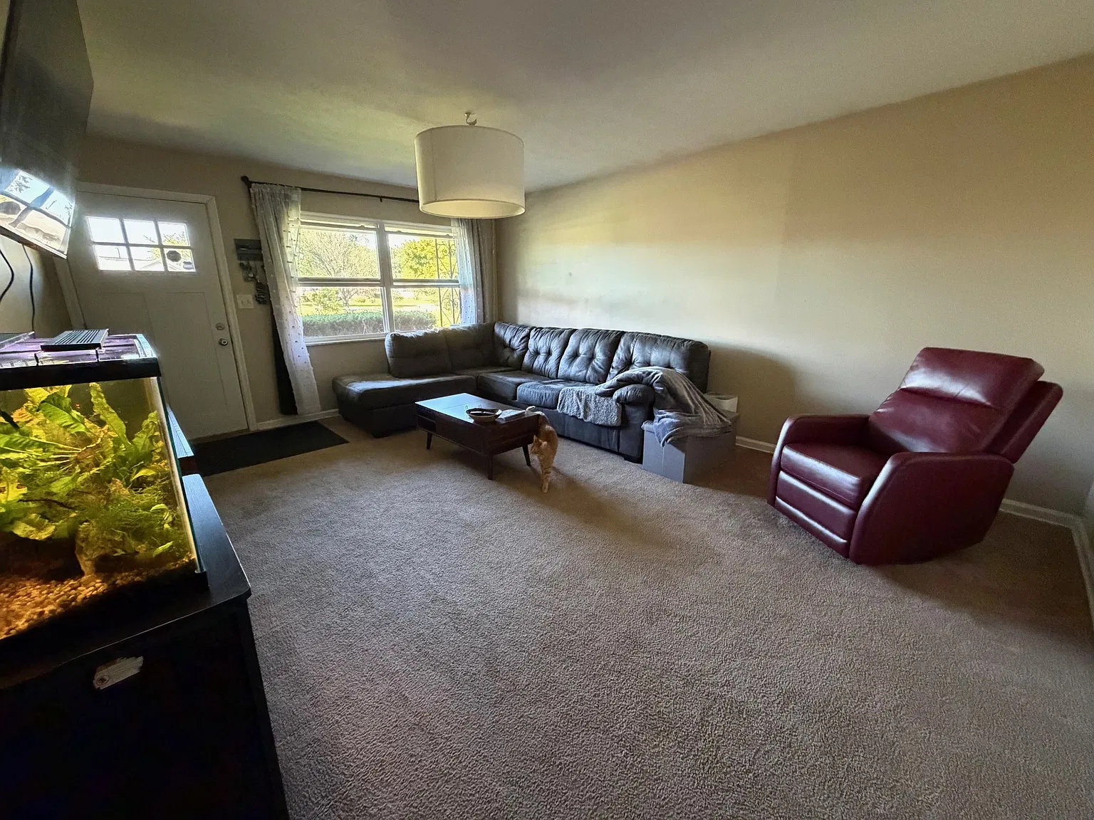 2 bed, 1100 sqft, $1,695 — Photo 3
