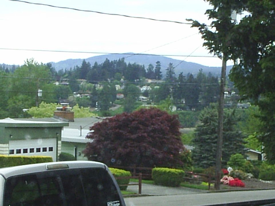 front window view