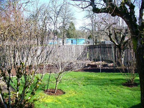 Backyard next to Park/Pool