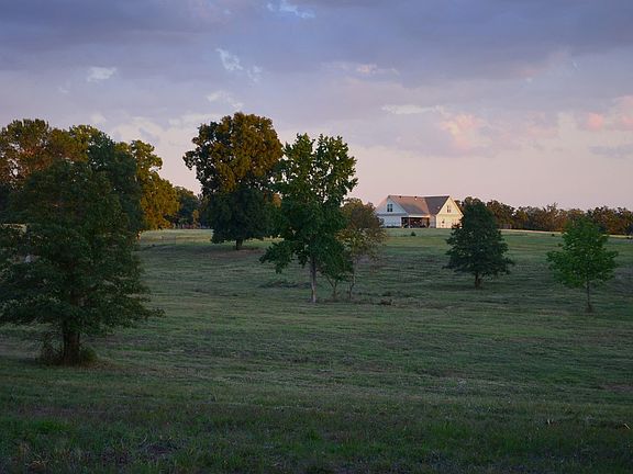 From the back fence line 