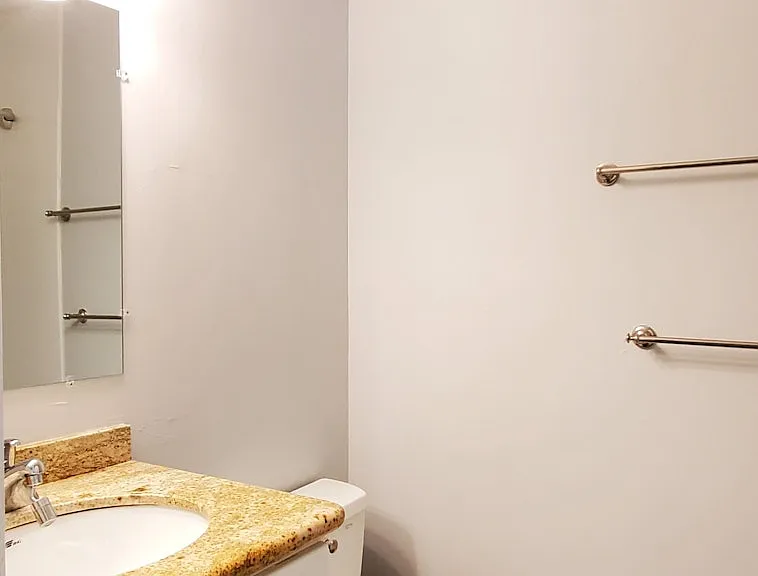 33225 Lake Champlain Ct — Photo 18