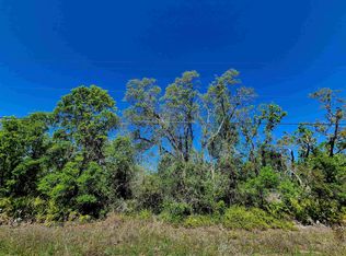 LOT 85 Seameadows Dr, Perry, FL 32348