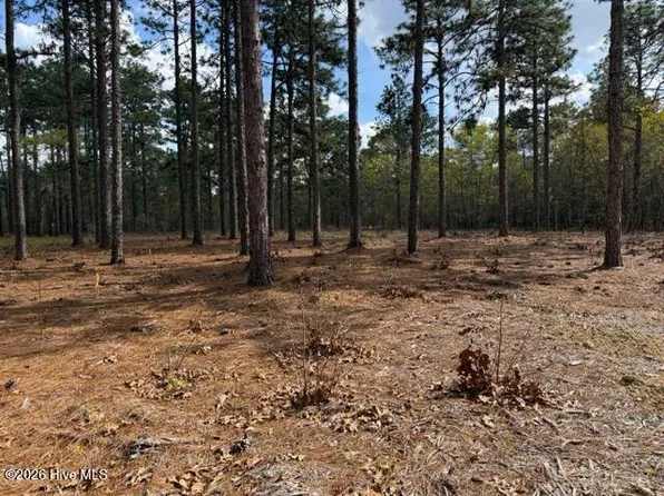 27 Birkdale Way #1209, Pinehurst, NC 28374