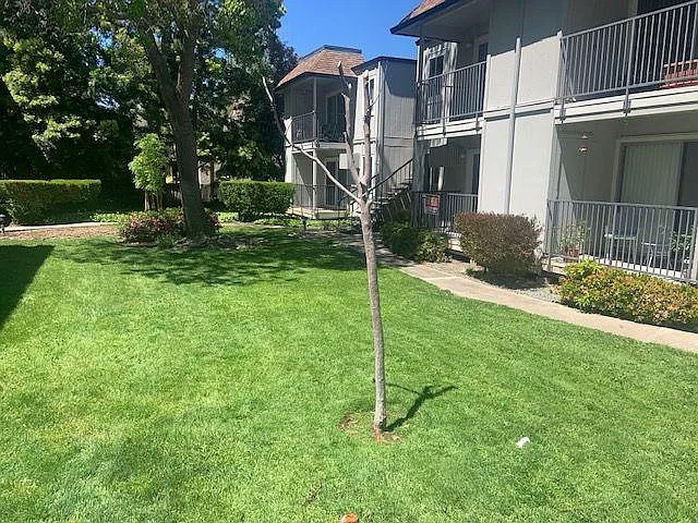 2 bed, 810 sqft, $2,550 — Photo 4