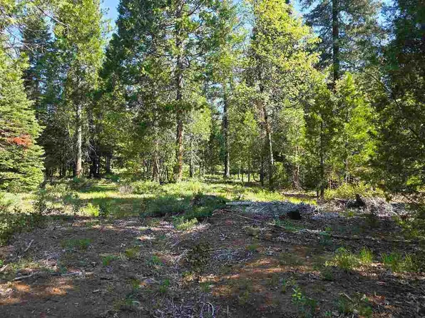 LOT 69 Old Mill Dr, McCloud, CA 96057