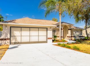 4125 Dristol Ave, Spring Hill, FL 34609