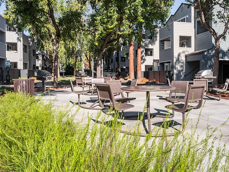 BBQ and picnic area