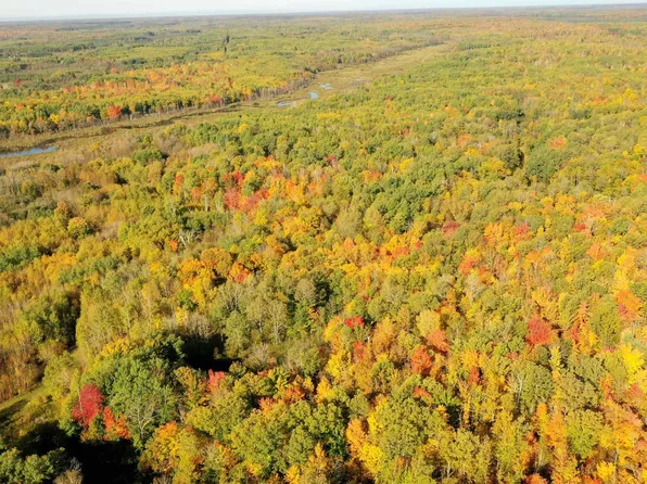xxx County Rd 6, Kettle River, MN 55757