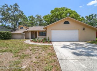 1348 Clovis Ln, Spring Hill, FL 34608