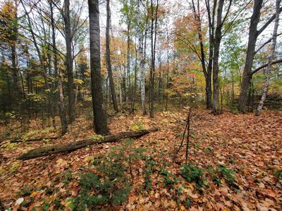 On Cth #B-LOT 1, Deerbrook, WI, 54424