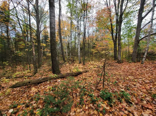 On Cth #B-lot 1, Deerbrook, WI 54424