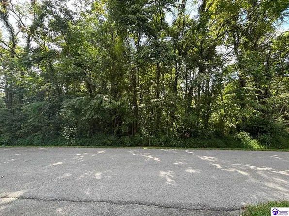 225 Barwater Rd, Brandenburg, KY 40108