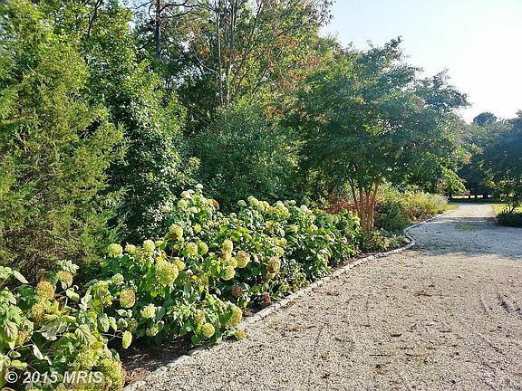 Driveway/Gardens