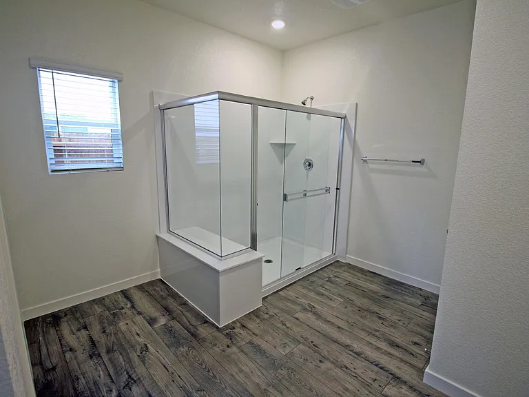 Primary bath shower
