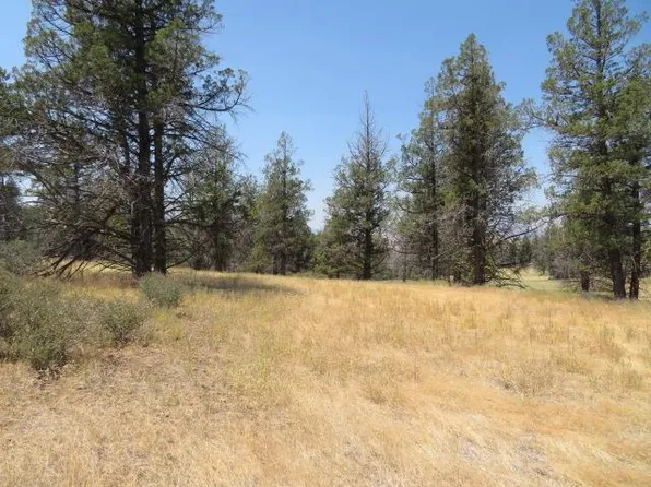 LOT 630 Whitepine St, Hornbrook, CA 96044