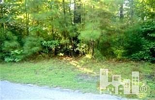2nd image of 805 Oyster Point Dr