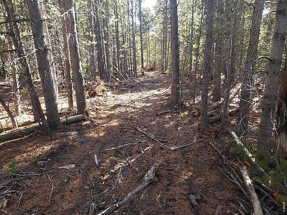 4th image of 0 Forest Service 169 Lot #10 Rd