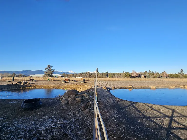 Horse swimming pond on left, pond and deck on right