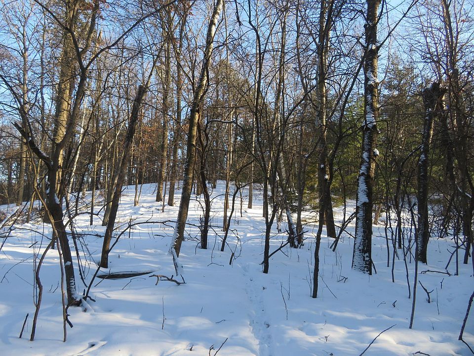 1st image of LOT 1 Lincoln Ave