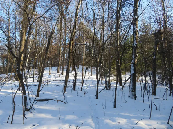 LOT 1 Lincoln Ave, Amery, WI 54001