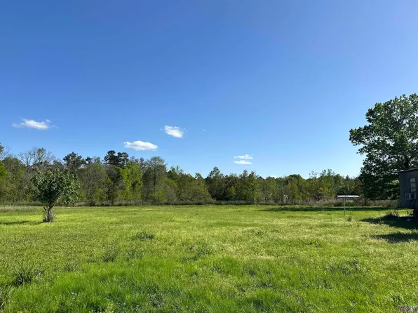 38975 Leggett Rd, Walker, LA 70785