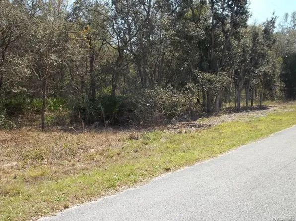 6525 N Flower Ter, Hernando, FL 34442