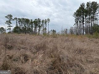 5th image of 0 Rutledge Rd