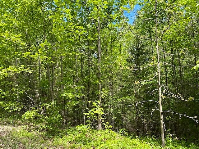 2nd image of LOT 56 Big Hollow Rd