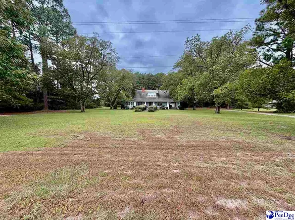 4177 Old State Highway 38, Blenhiem, SC 29516