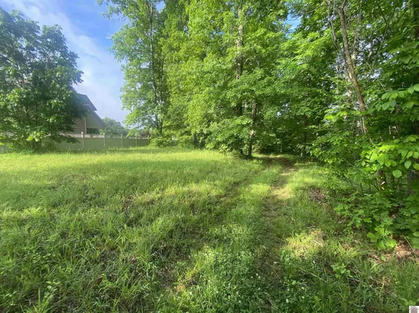 20 Cayuga Dr #19-20, Cadiz, KY 42211