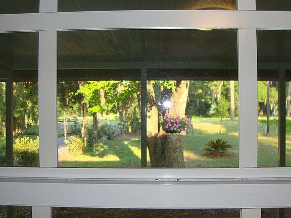 View out kitchen sink area
