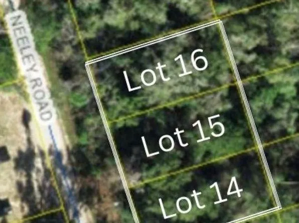 14 Neeley Rd, Crawfordville, FL 32327