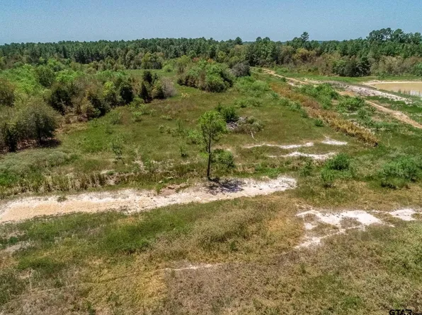 4661 County Road 335, Palestine, TX 75803
