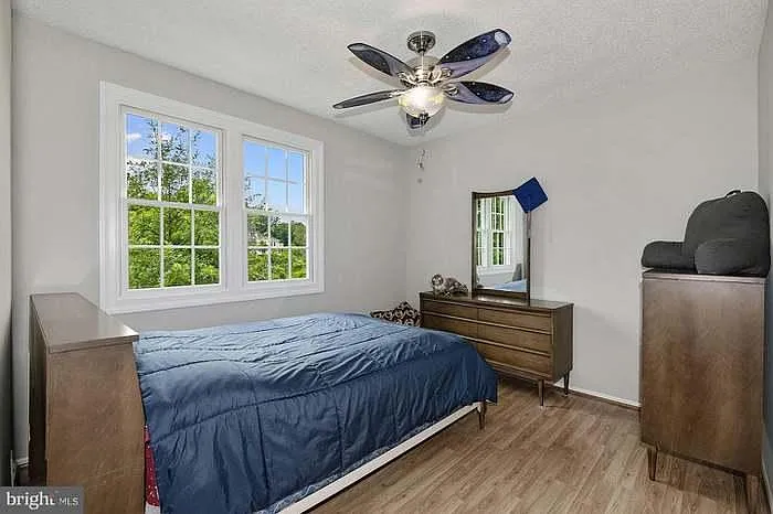 100 Elm Tree Ln — Photo 19