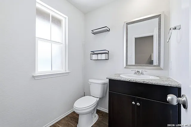 15331 Shortwing — Photo 4