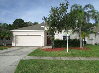 14326 Moon Flower Dr, Tampa, FL 33626