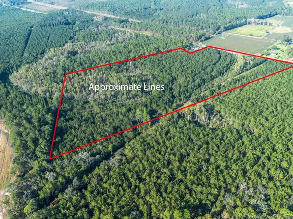 0 Us Highway 301, Claxton, GA 30417