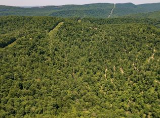 137.88 Acres Off, Terra Alta, WV 26764