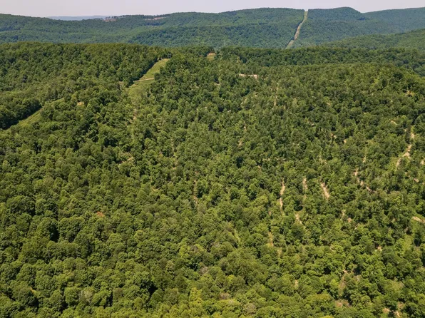 137.88 Acres Off, Terra Alta, WV 26764