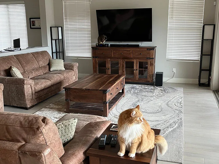3191 Buckaroo Ct — Photo 6
