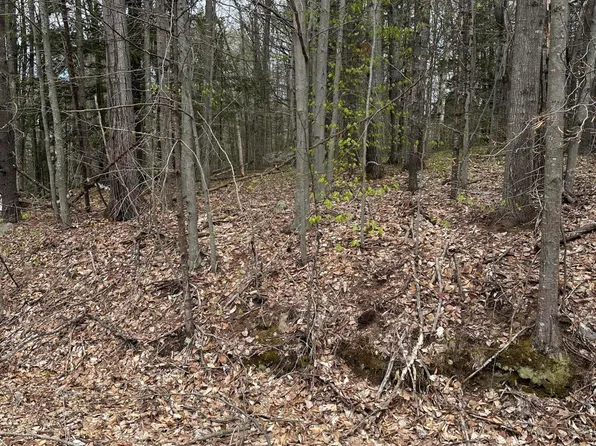 Lot #5 - 344 Moose Hill Road, Livermore Falls, ME 04254