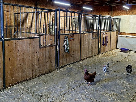 5th image of 7914 Buffham Rd