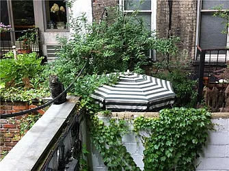 Rented by Lucien Perry