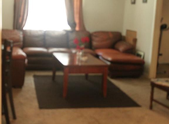 4th image of 9508 Hansford Dr