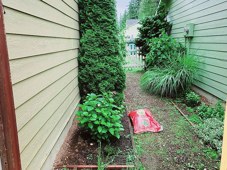 Backyard_9