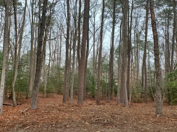 LOT 2055 Neptune Dr, Greenbackville, VA 23356