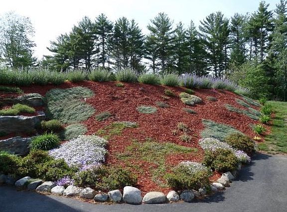 Planted with care and love